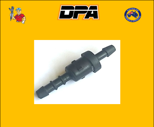 18D9100 Common Rail Siemens Non Return Valve